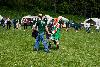 043.jpg size(800,533) 127668 Bytes 