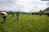 057.jpg size(800,533) 95758 Bytes 