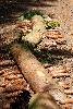 231.jpg size(533,800) 124640 Bytes 