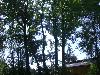 006.jpg size(800,600) 142500 Bytes 