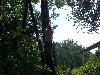 010.jpg size(800,600) 121028 Bytes 