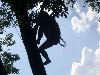 012.jpg size(800,600) 67109 Bytes 
