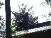 015.jpg size(800,600) 92189 Bytes 