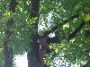 017.jpg size(800,600) 101198 Bytes 
