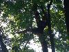 019.jpg size(800,600) 134676 Bytes 
