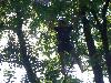 020.jpg size(800,600) 137071 Bytes 