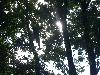 021.jpg size(800,600) 145251 Bytes 