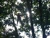 022.jpg size(800,600) 146554 Bytes 