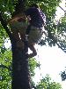 024.jpg size(600,800) 100944 Bytes 
