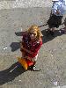 004.jpg size(600,800) 84710 Bytes 