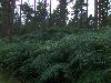 027.jpg size(800,600) 105200 Bytes 