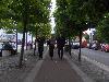 070.jpg size(800,600) 97176 Bytes 