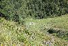 140.jpg size(800,533) 159466 Bytes 