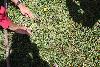 263.jpg size(800,533) 163058 Bytes 