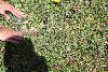 264.jpg size(800,533) 164600 Bytes 