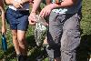 272.jpg size(800,533) 77451 Bytes 