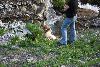 294.jpg size(800,533) 119380 Bytes 