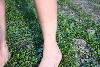 303.jpg size(800,533) 104927 Bytes 