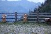313.jpg size(800,533) 74490 Bytes 