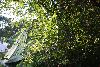 411.jpg size(800,533) 131646 Bytes 