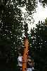549.jpg size(533,800) 115494 Bytes 