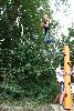 550.jpg size(533,800) 131622 Bytes 