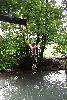 597.jpg size(533,800) 140635 Bytes 