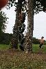 606.jpg size(533,800) 107461 Bytes 