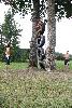 607.jpg size(533,800) 133258 Bytes 