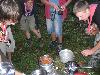 077.jpg size(800,600) 98117 Bytes 