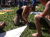 187.jpg size(800,600) 112785 Bytes 