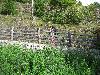 041.jpg size(800,600) 186185 Bytes 