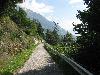 044.jpg size(800,600) 111717 Bytes 