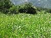 052.jpg size(800,600) 186798 Bytes 