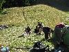 120.jpg size(800,600) 150991 Bytes 