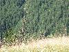 133.jpg size(800,600) 144232 Bytes 
