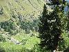 162.jpg size(800,600) 157159 Bytes 