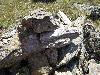 191.jpg size(800,600) 140919 Bytes 