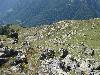 203.jpg size(800,600) 141184 Bytes 