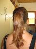 239.jpg size(600,800) 53047 Bytes 