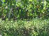 242.jpg size(800,600) 174154 Bytes 