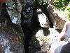 253.jpg size(800,600) 111274 Bytes 