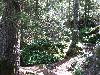 254.jpg size(800,600) 174241 Bytes 