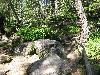 260.jpg size(800,600) 183828 Bytes 