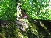267.jpg size(800,600) 159750 Bytes 
