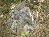 271.jpg size(800,600) 135953 Bytes 