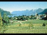 081.jpg size(498,338) 41481 Bytes 
