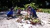 064.jpg size(800,450) 110231 Bytes 