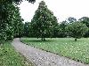 008.jpg size(800,600) 126557 Bytes 