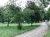 010.jpg size(800,600) 136310 Bytes 